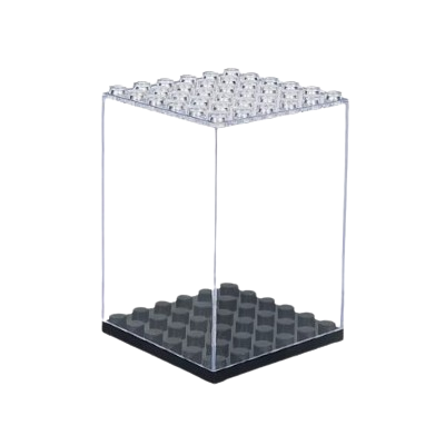Single Display Case